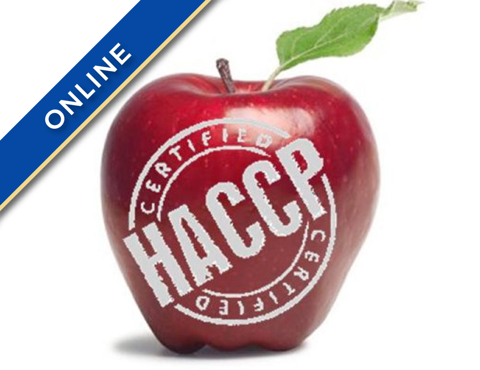 Level 3 Award in HACCP for Food Manufacturing