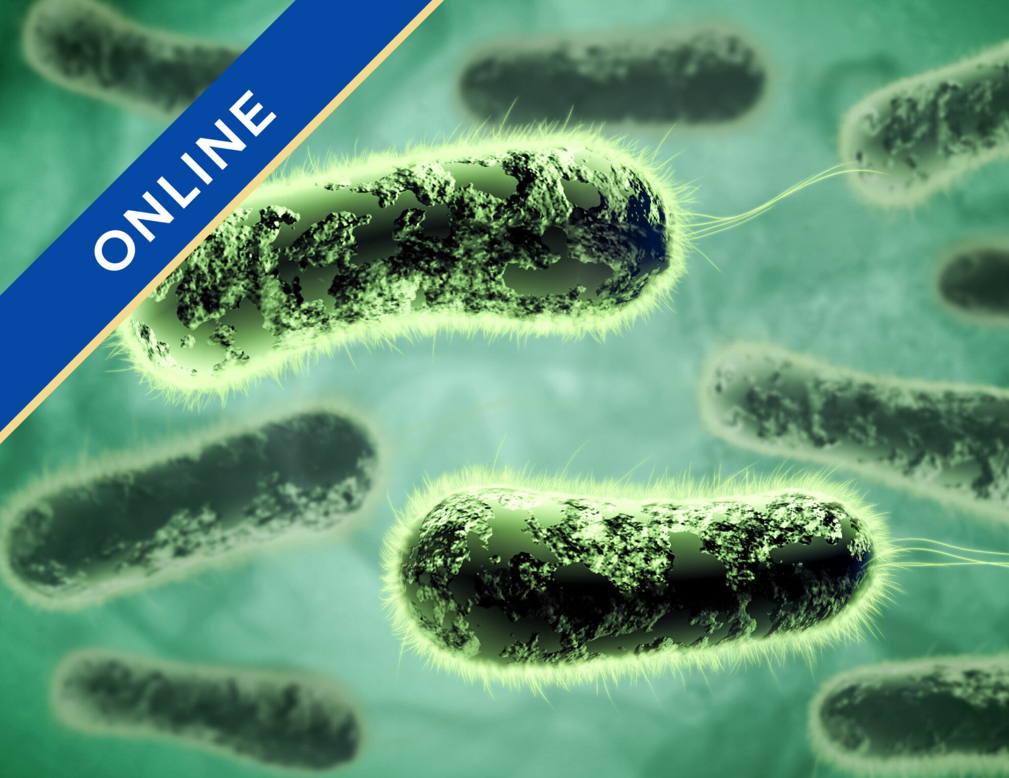 Listeria Management & Control