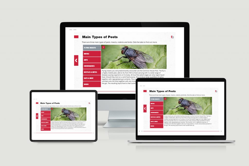 Pest Awareness