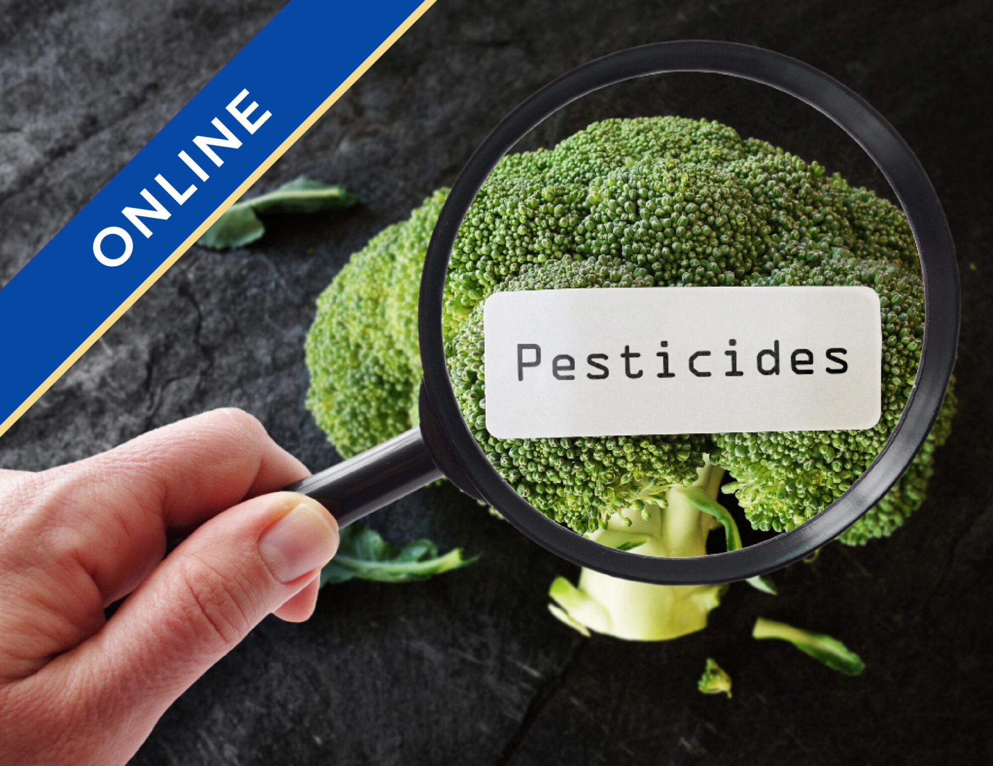 Pesticides in the Food Industry